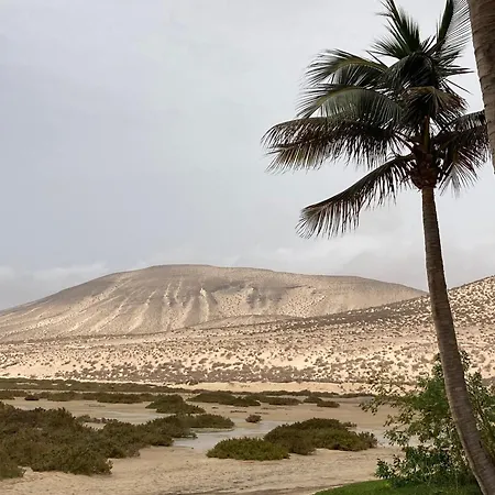 Casa Aloe B. Playitas. Las Playas