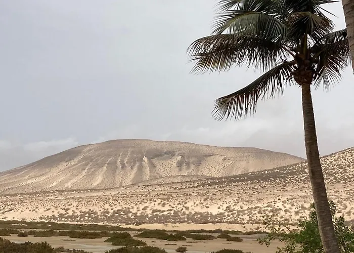 Casa Aloe B. Playitas. Las Playas